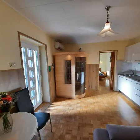 Apartment And Zonir With Sauna