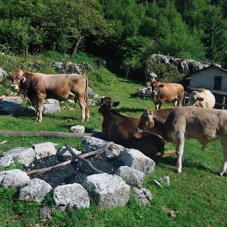 Appartamento And Zonir With Sauna Kobarid