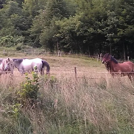 And Zonir With Sauna Apartmán Kobarid