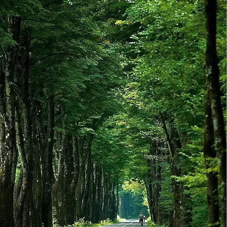 And Zonir With Sauna Apartmán *