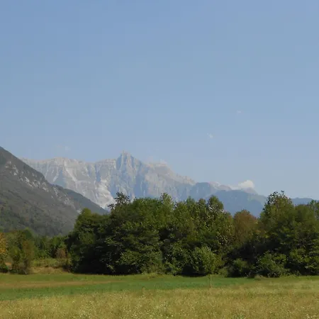 And Zonir With Sauna *