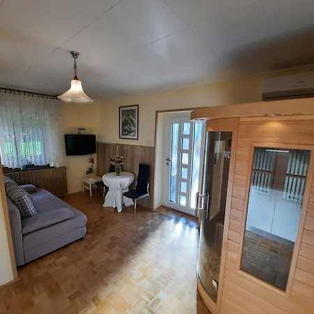 And Zonir With Sauna