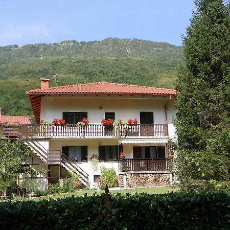 And Zonir With Sauna *