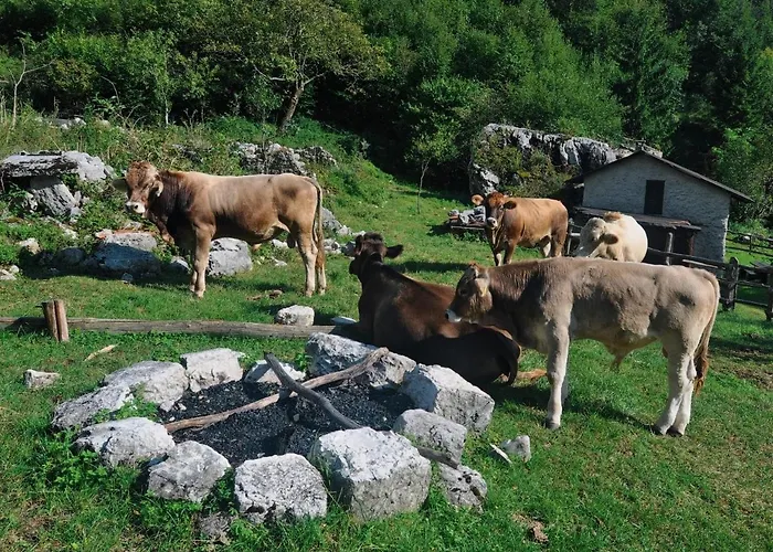 Apartment And Zonir With Sauna Kobarid