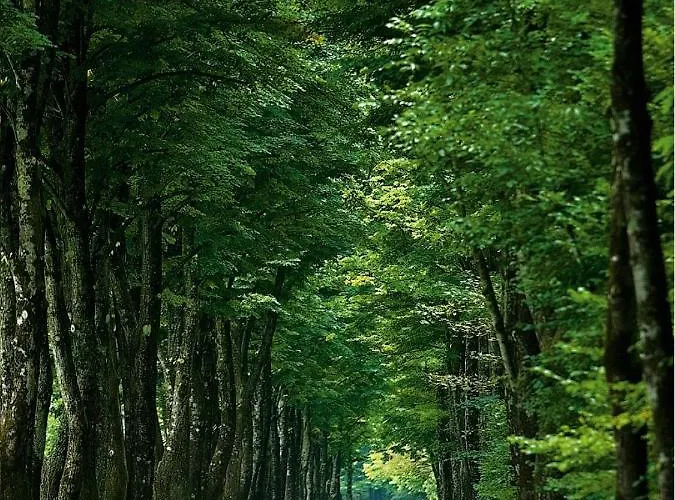 And Zonir With Sauna דירה *