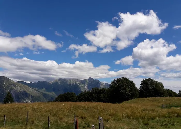 And Zonir With Sauna * קובאריד