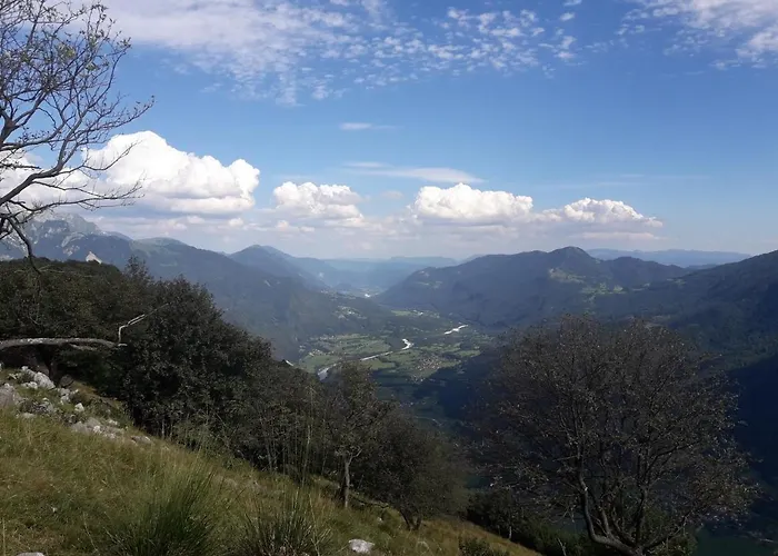 And Zonir With Sauna *