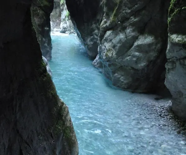 Apartment And Zonir With Sauna *