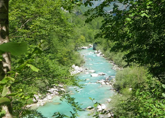 דירה And Zonir With Sauna