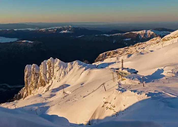 And Zonir With Sauna *