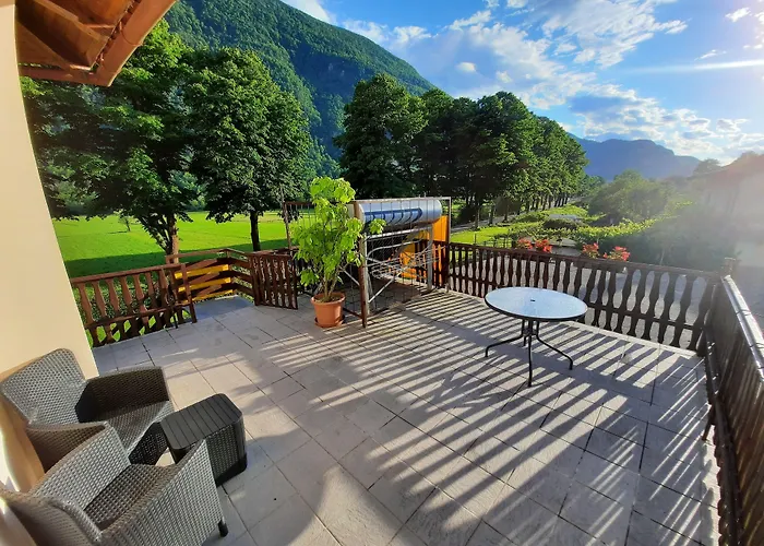 And Zonir With Sauna *