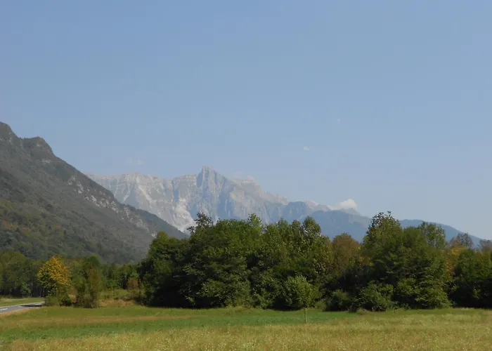 And Zonir With Sauna *