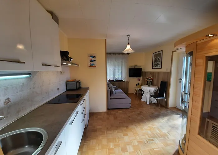 And Zonir With Sauna Apartment