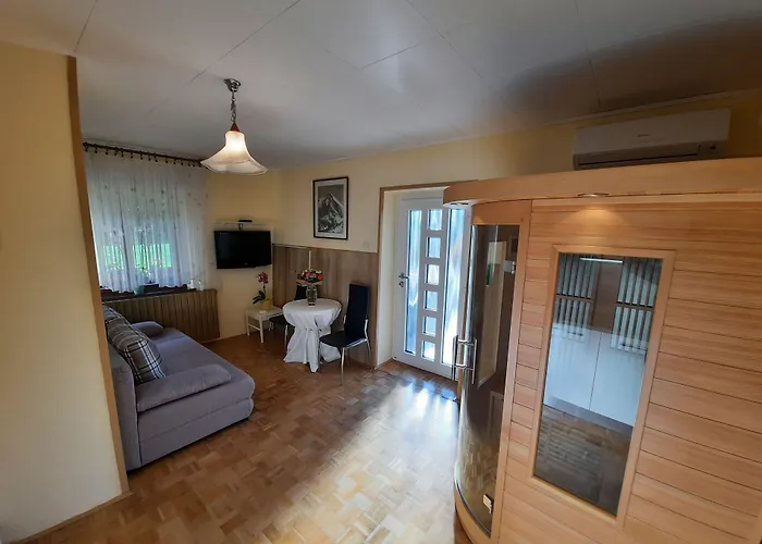 And Zonir With Sauna